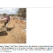 2007 Exhuming the past for Globe and Mail
