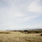 mg_3291-col-treat-for-dps