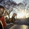 skateboarding-in-troyeville