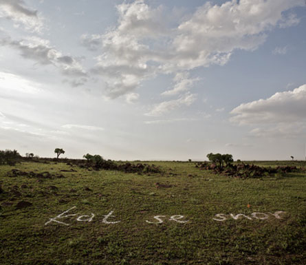 2008 Land Art