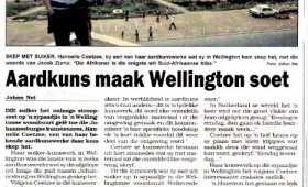 afr-zuma-wellington-koerant