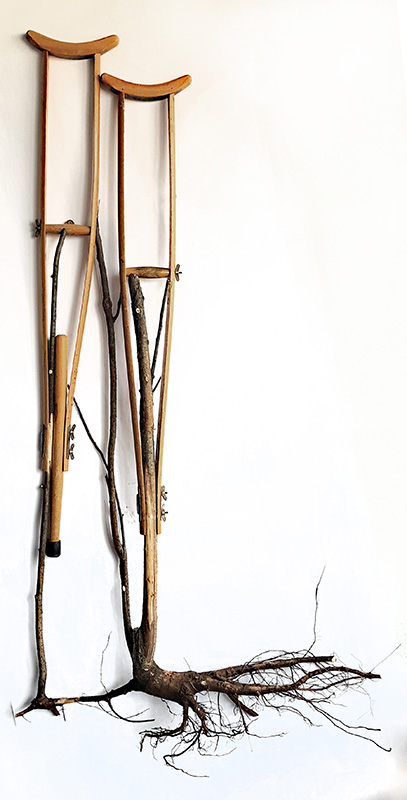 2019 Crutches with Poplar roots l & ll , lll & lV (pairs)