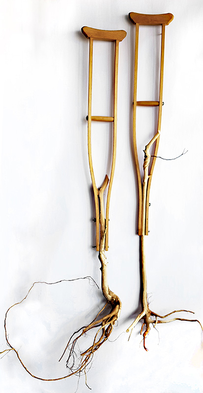 2019 Crutches with Poplar roots