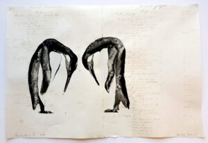 Penguins bowing i