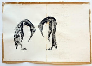 Penguins bowing iV