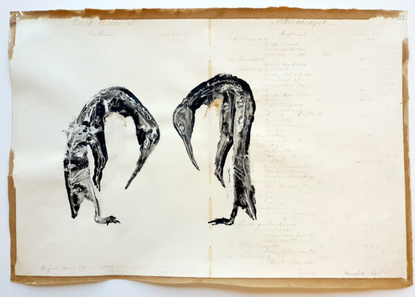 Penguins bowing iV