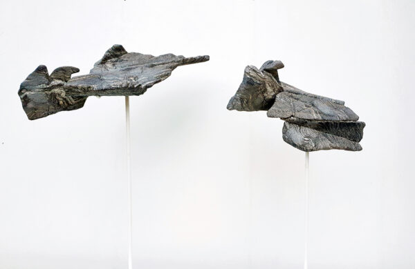 Bats iV, 2023