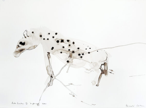 Ander Kreatuur ii, 2021