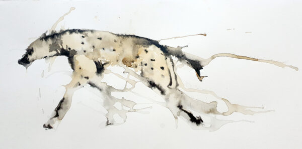 Hyena clan VIII
