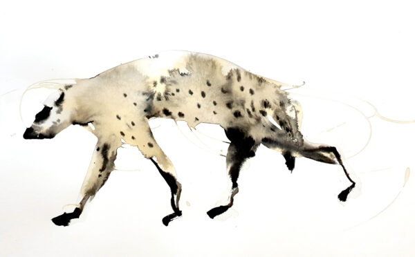 Hyena clan X