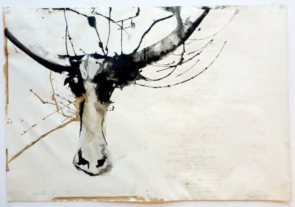 Waterbuffalo II