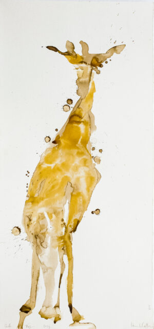 Giraffe XVII