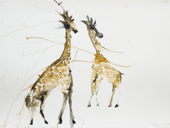 2023 Giraffes