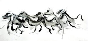 Baboon troop X, 2023