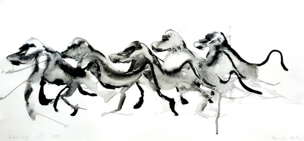 Baboon troop X, 2023