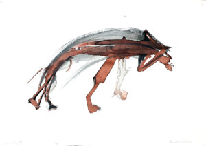Hyena study on paper II