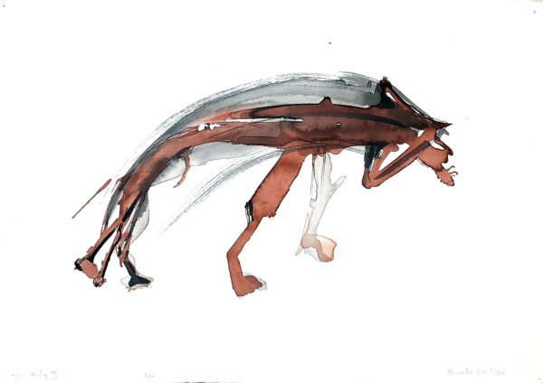 Hyena study on paper II