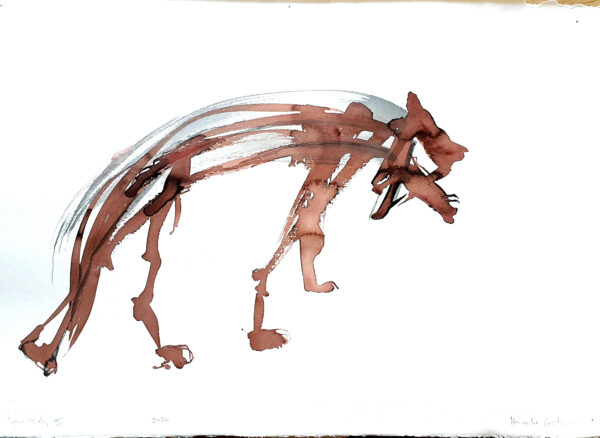 Hyena study on paper III
