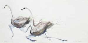 Ostriches IV