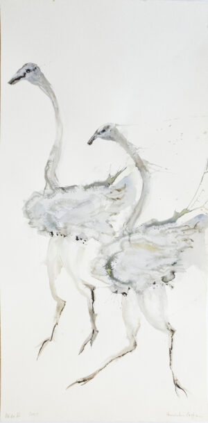 Ostriches II