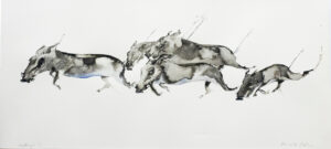 Warthogs V