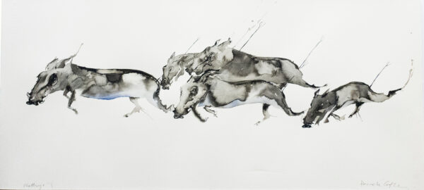 Warthogs V