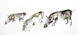 Warthogs XIV