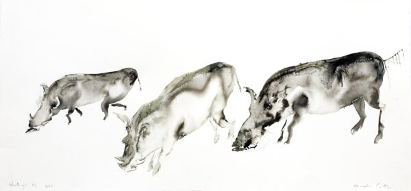 Warthogs XIV