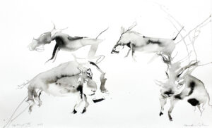 Warthogs XII