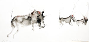 Warthogs XIII