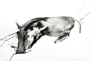 Warthogs I