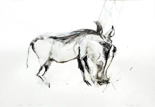 Warthogs IV