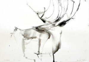 Wildebeest VI