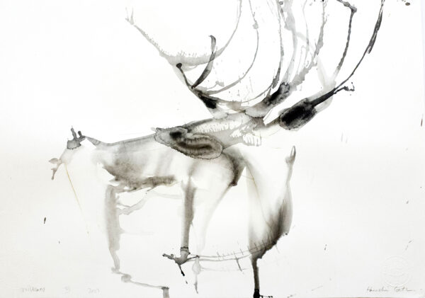Wildebeest VI