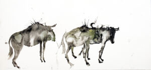 Wildebeest XV