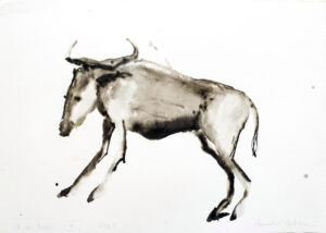 Wildebeest XI