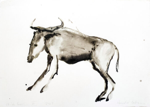Wildebeest XI