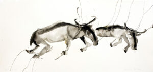 Wildebeest XiV