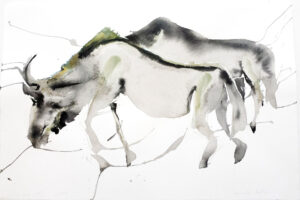 Wildebeest XII