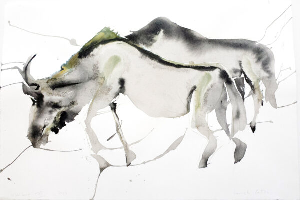 Wildebeest XII