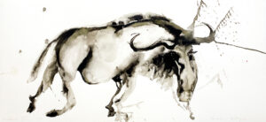Wildebeest Xiii