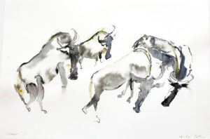 Wildebeest IV
