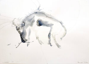 Wildebeest IX
