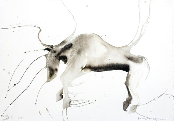 Wildebeest II