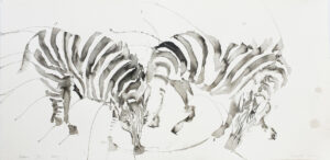 Zebra Vi