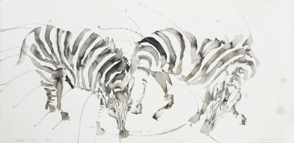 Zebra Vi
