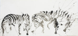 Zebra Vii