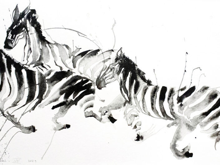 2023 Zebras