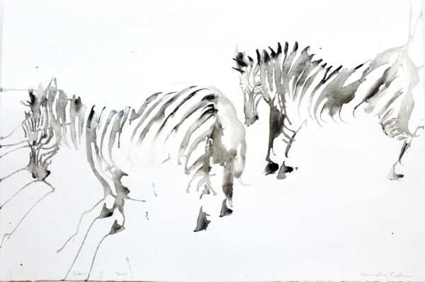Zebra X