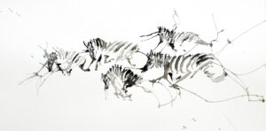 Zebra Xi